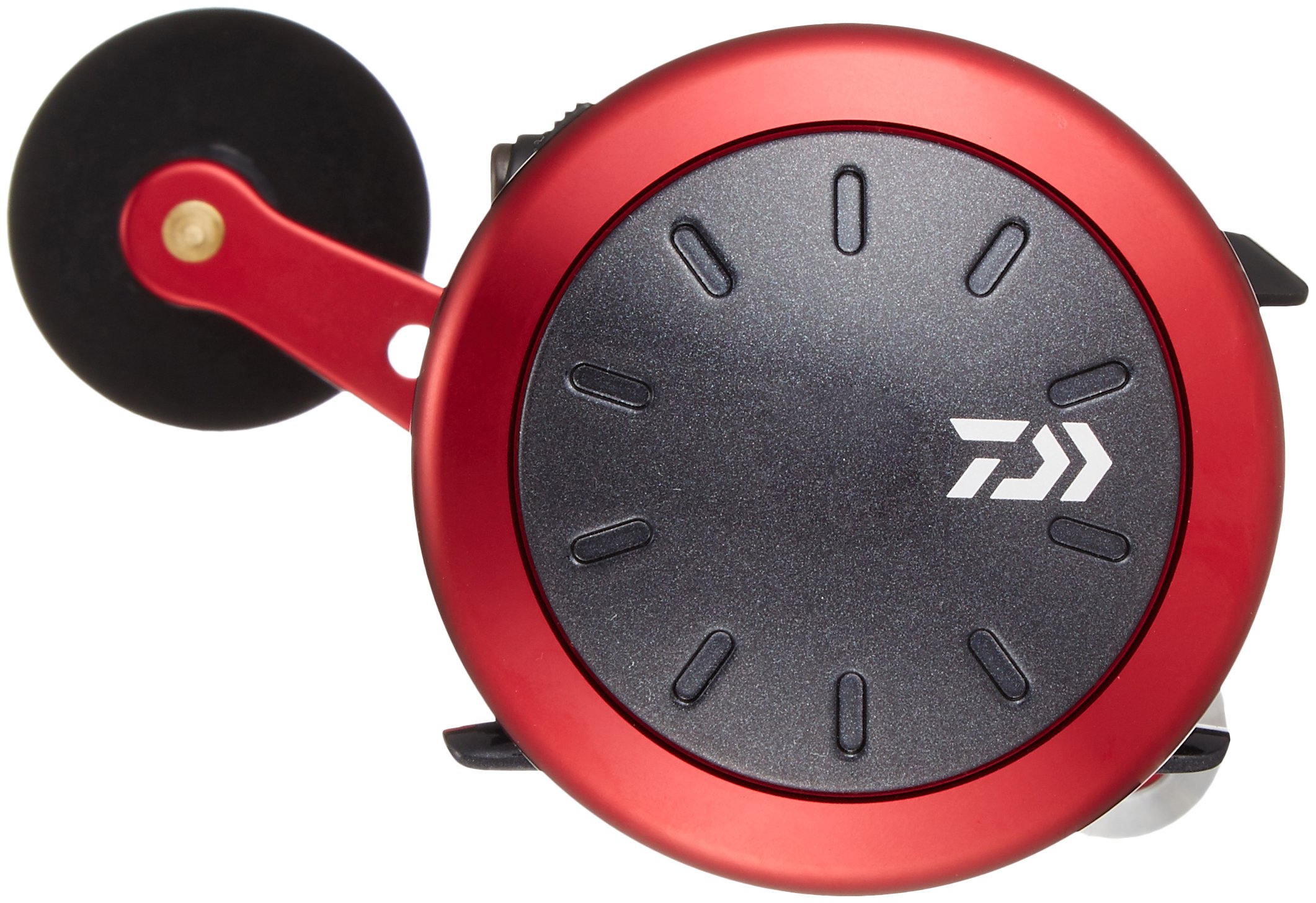 Daiwa 17 Dynastar 300 Two-Axis Reel (2017 Model) : Amazon.ca